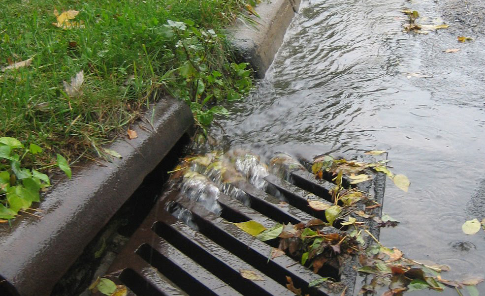 Water rushes down a storm drain with leaves