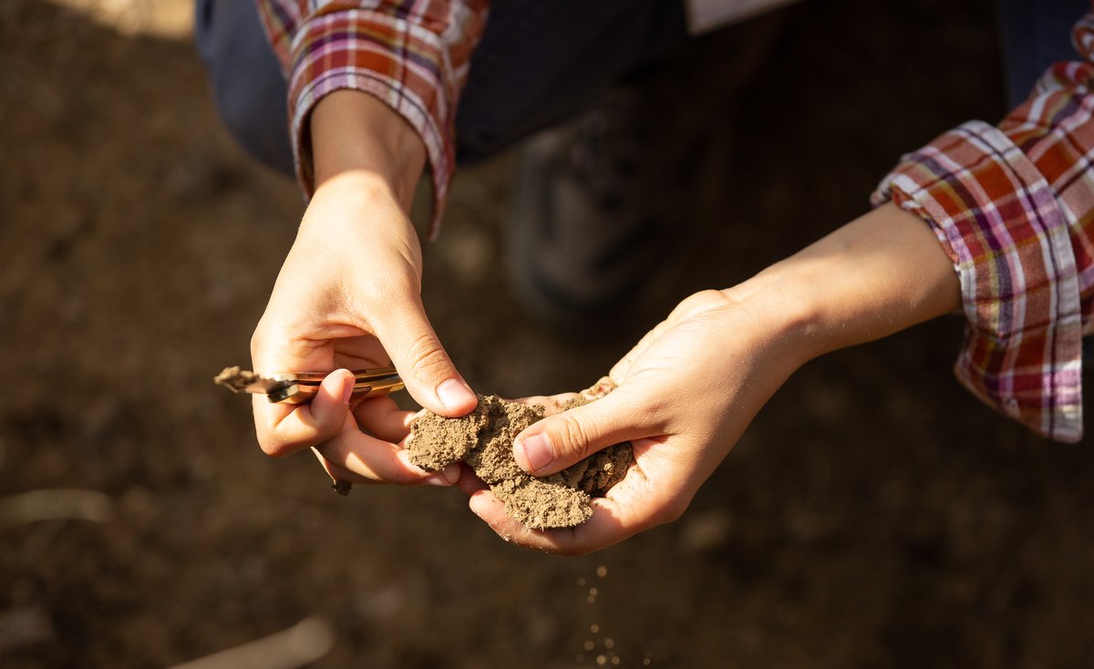Hands break apart a clump of soil