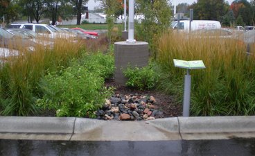 stormwater callout plants