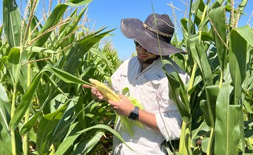 Photo of Eduardo Garay holding an ear of corn